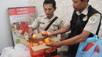 Dua orang petugas memperlihatkan jeruk Mandarin (Citrus reticulata) yang diamankan dari penumpang kapal di Pos Karantina Pertanian terminal ketibaan Pelabuhan PT Pelindo I Dumai, Dumai, Riau, Kamis (23/1) lalu.