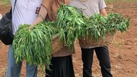 Selain dikenal sebagai penyanyi dan host, Jirayut juga banyak tawaran akting. Seperti pada momen ini, Jirayut membawa keranjang berisi sayuran hasil panen kebun. Ini merupakan salah satu adegan di sinetron. Foto: Instagram @jirayutdaa4official