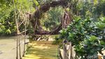 Foto: Tempat Wisata Selfie Baru di Ciamis