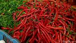 Di Pekalongan, Cabai Rawit Merah Tembus Rp 80.000/Kg