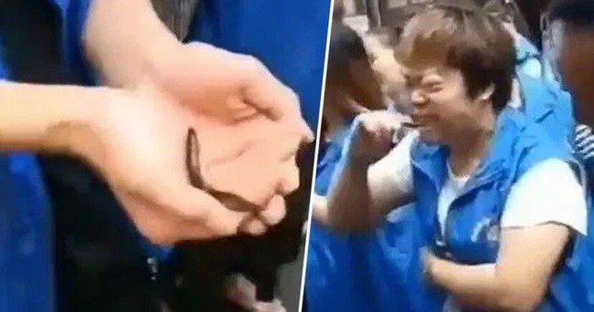 Tak Penuhi Target, 5 Perusahaan Ini Paksa Karyawan Makan Darah Ayam hingga Kecoa