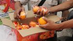 Cegah Virus Corona, Pengawasan Buah Impor Diperketat