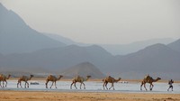 Djibouti, negara Afrika yang memiliki formasi gunung api, semak belukar yang luas dan pantai Teluk Aden. Negara ini adalah rumah bagi salah satu perairan paling asin di dunia, Danau Assal. (iStock)
