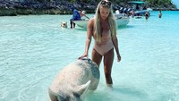 Selama liburan di Bahama, Luce juga menyambagi Pigs Beach. Di pantai cantik itu, dia bermain bersama babi yang lucu (Instagram/@lucenicholson)