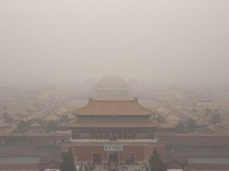 Testis Harimau Jadi Santapan Kaisar China?