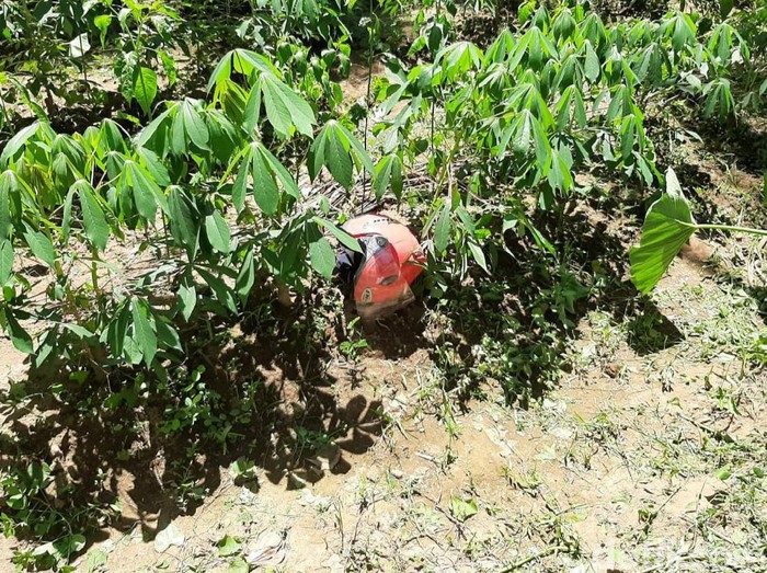 Helm pink yang ditemukan di dekat mayat terbakar di Banyuwangi/Foto: Ardian Fanani Helm pink yang ditemukan di dekat mayat terbakar di Banyuwangi/Foto: Ardian Fanani
