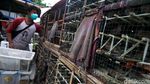 Tradisi Melepas Burung Pipit Saat Imlek