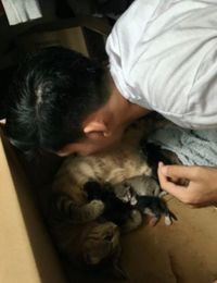 Demi Viral, Pria Malaysia Ini Minum Susu dari Puting Kucing!