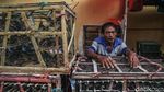 Tradisi Melepas Burung Pipit Saat Imlek