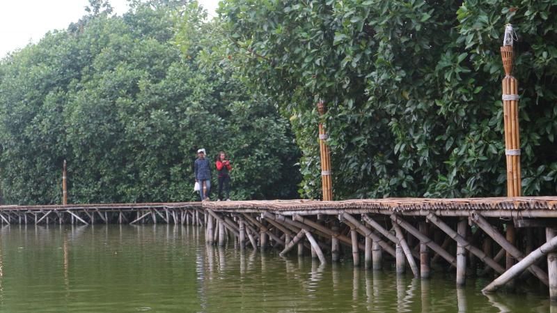 hutan mangrove grand maerokoco semarang