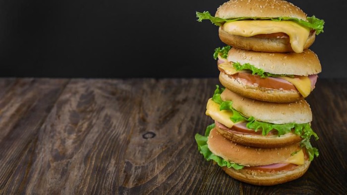 Ilustrasi Burger