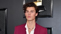 Shawn Mendes saat hadir di acara Grammy Awards 2020 di California, AS pada Minggu (26/1). Amy Sussman/Getty Images