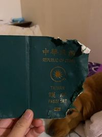 Saat Anjing Batalkan Liburan Keluarga ke Wuhan