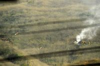 Kecelakaan Helikopter Kobe Bryant karena Cuaca Buruk?