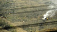 Helikopter yang ditumpangi Kobe Bryant jatuh di dekat Las Virgenes Road, kawasan selatan Agoura Road, Minggu (26/1/2020) waktu setempat. AP Photo/Mark J Terrill.