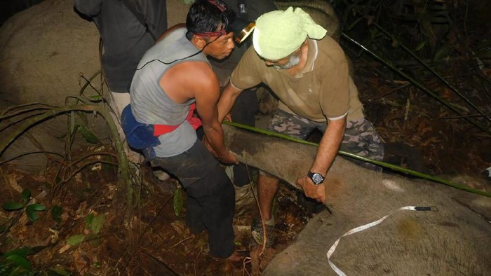 DOK. BBKSDA Riau/ Gajah terjerat di Bengkalis Riau