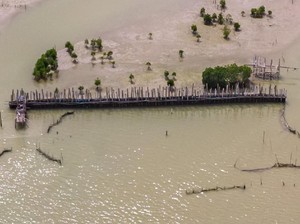 Reklamasi di Semarang Dituding Penyebab Abrasi Ribuan Hektare Lahan di Demak