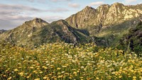 Bagi turis, Calabasas merupakan kawasan untuk bertualang dan trekking di perbukitannya. Khususnya di Santa Monica Mountains National Recreation Area (iStock)