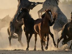 Karya Kece Jawara Travel Photographer of the Year Awards 2019