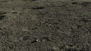 Change-4 dan Yutu-2 mulai kembali bekerja menangkap citra di area sisi terjauh Bulan pada 18-19 Januari 2020. Foto: CNSA