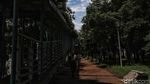 Merawat Ruang Terbuka Hijau di Antara Hutan Beton Ibu Kota