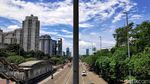 Merawat Ruang Terbuka Hijau di Antara Hutan Beton Ibu Kota