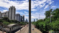 Ada berbagai hal yang dapat dilakukan pemerintah dan masyarakat dari berbagai lapisan untuk sama-sama menanggulangi polusi udara di Jakarta. Selain dengan mulai menggunakan transportasi umum, menanam tanaman hijau maupun pohon dapat menjadi cara untuk mengembalikan kualitas udara yang lebih baik di Ibu Kota.