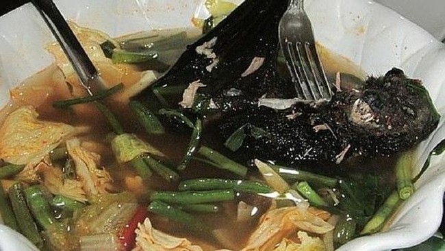 5 Fakta Sup Kelelawar yang Diduga Penyebar Virus Corona