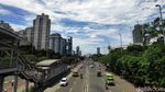 Merawat Ruang Terbuka Hijau di Antara Hutan Beton Ibu Kota