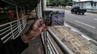Gubernur DKI Jakarta Anies Baswedan punya program andalan naturalisasi sebagai solusi banjir ibu kota. Berbeda dengan gubernur sebelumnya yang memilih cara  menggunakan normalisasi sungai untuk mengantisipasi banjir. Caranya dengan mengusur pemukiman di bantaran sungai agar dibuat saluran raksasa dan dibuang ke laut. Tetapi gubernur sekarang  Anies Baswedan lebih condong mencoba naturalisasi sungai.