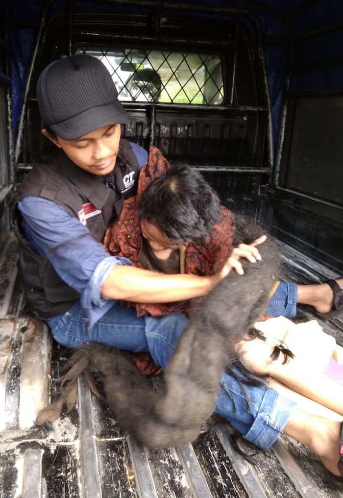 Potret Sukiyah yang Rambutnya Jadi Sarang Tikus Sukiyah, seorang perempuan di Kabupaten Semarang tidak mandi selama 27 tahun. Kondisinya memprihatinkan karena rambutnya menjadi gimbal hingga menjadi sarang tikus.