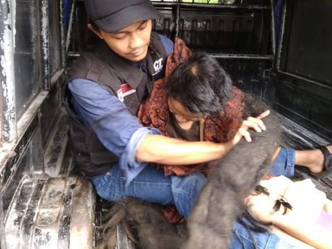 Disebut 27 Tahun Tak Mandi, Rambut Sukiyah Dihuni Kecoa hingga Tikus