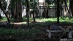 Merawat Ruang Terbuka Hijau di Antara Hutan Beton Ibu Kota