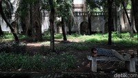 Tak hanya mampu menghadang sinar matahari di saat musim kemarau melanda, pohon maupun tanaman hijau juga dapat dimanfaatkan untuk mengurangi polusi udara di Ibu Kota Jakarta.