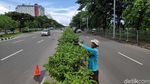Merawat Ruang Terbuka Hijau di Antara Hutan Beton Ibu Kota