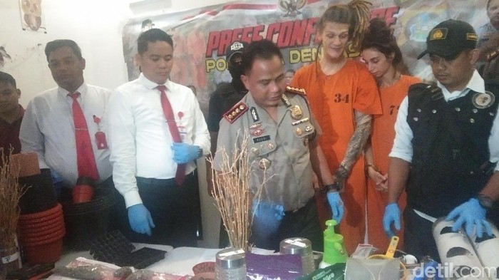 Tim detikcom/ Bule Rusia ditangkap tanam pohon ganja di Bali