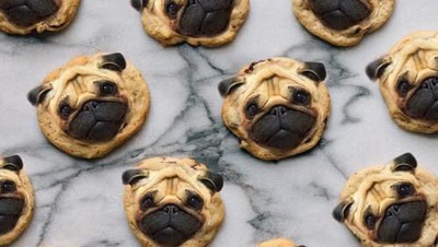 Lucu dan Bikin Gemas! 10 Makanan Ini Diedit dengan Wajah Anjing