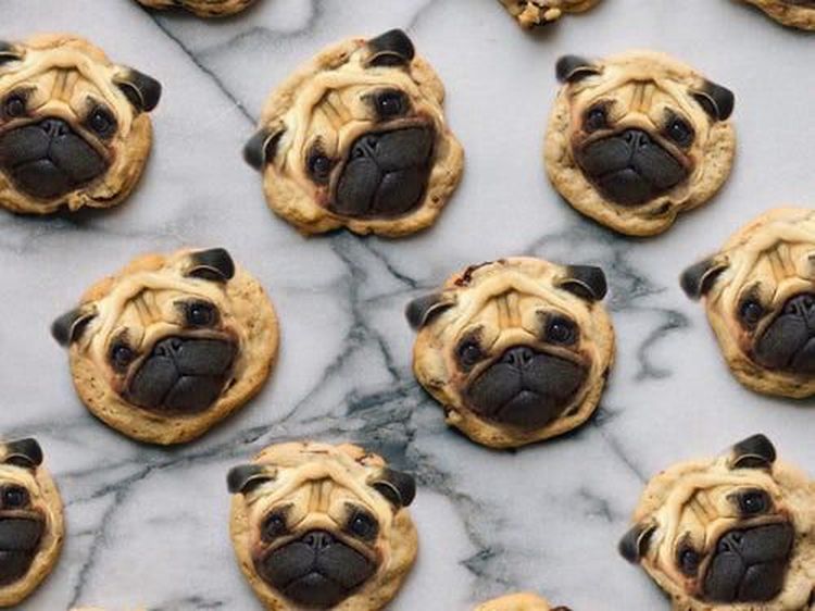 Lucu dan Bikin Gemas! 10 Makanan Ini Diedit dengan Wajah Anjing