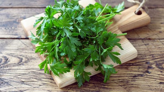 peterseli dimasukin ke vagina