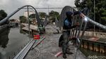 Pemprov DKI Lakukan Penataan Kampung Kerapu Jakut