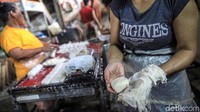 Tahu tersebut akan dipasarkan ke sejumlah wilayah di Jakarta Selatan.
