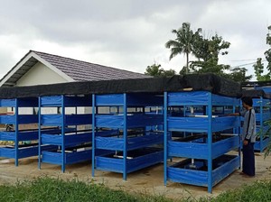 Melihat Budidaya Cacing Sutera dengan Sistem Apartemen