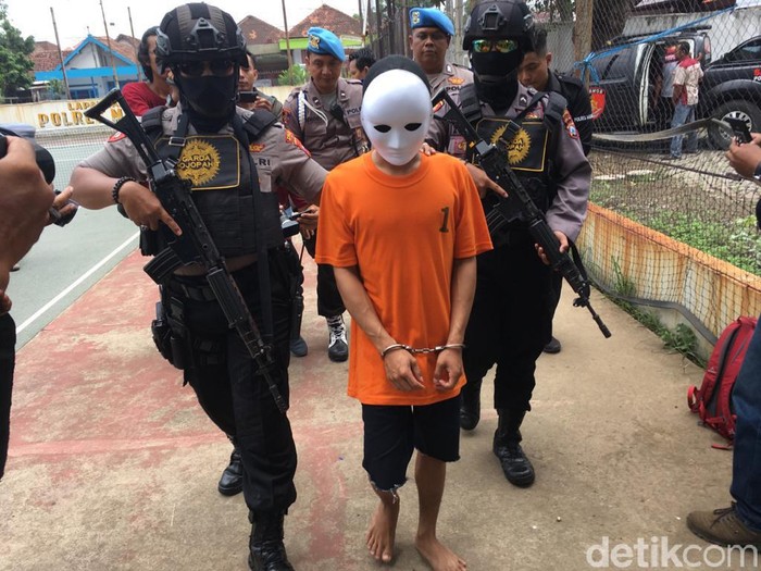 muncikari jajakan janda muda