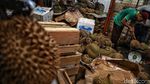Virus Corona Merebak, Pamor Buah Lokal Melonjak