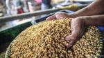 Menengok Proses Pembuatan Tahu di Pondok Labu