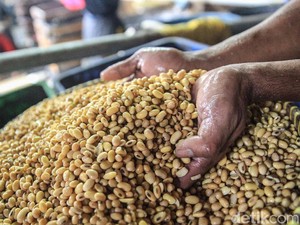 Miris! RI Negeri Tempe Tahu tapi Bergantung Kedelai Impor, Ini Datanya