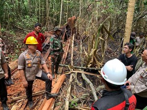 Geram, Kapolda Riau Usut Pelaku Illegal Logging Penyebab Karhutla