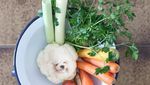 Lucu dan Bikin Gemas! 10 Makanan Ini Diedit dengan Wajah Anjing
