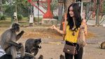Kulineran Manis ala Talita Bachtiar, Adik Ipar Tasya Kamila
