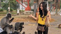 Jalan-jalan ke tempat wisata yang banyak monyetnya, Talita malah asyik memberi makan monyet liar. Di tangannya sudah ada sekantung makanan untuk monyet nih. Foto: instagram @talitawb
